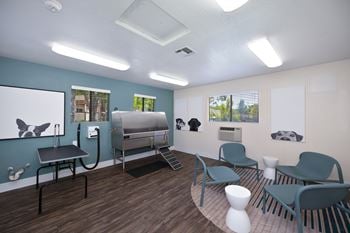 Pet spa room